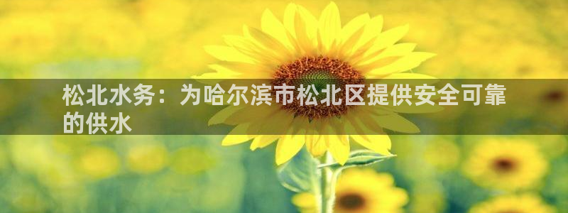 球友会官网入口在哪里