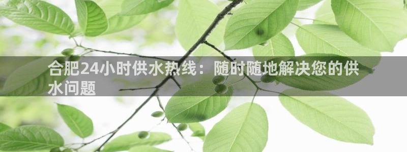 球友会app安全吗可靠吗