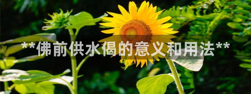 qy球友会体育
