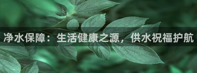 球友会网站多少钱一个