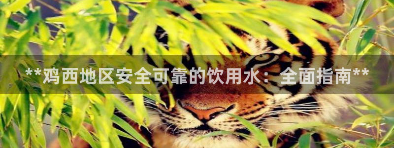 球友会APP