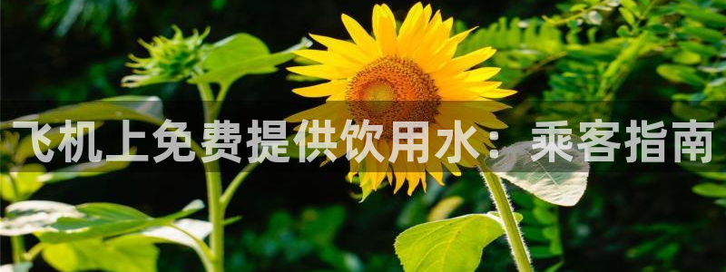 球友会台球俱乐部官网
