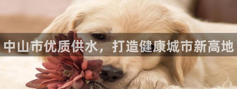 球友会官网app
