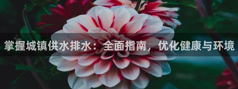 球友会logo