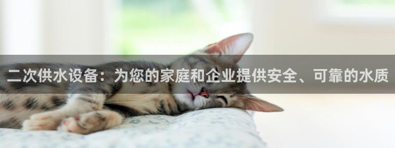 球友会聚餐发言